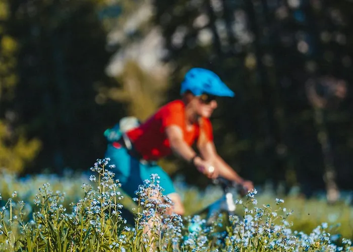 Alpesi faház Les Praz - 280sqm - Sauna Cinema Fitness - 5 Bedrooms In Heart Of Les Praz - By Cozee *